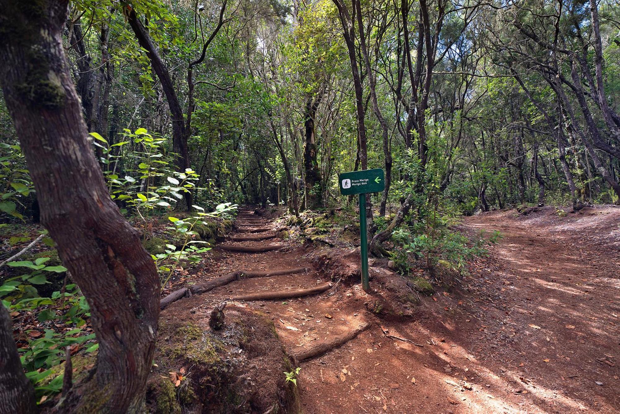 Medina 1 Agulo